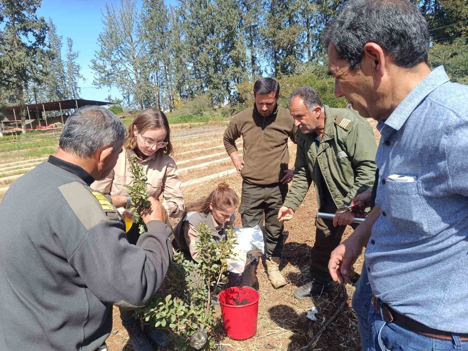İzmir’in damla sakızı KKTC’de toprakla buluştu