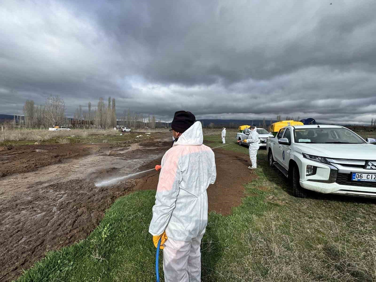 &Ccedil;orum Belediyesi&rsquo;nden yaz &ouml;ncesi vekt&ouml;rle m&uuml;cadele
