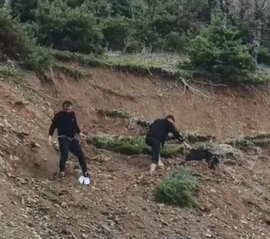 Çamura saplanan keçi son anda kurtarıldı