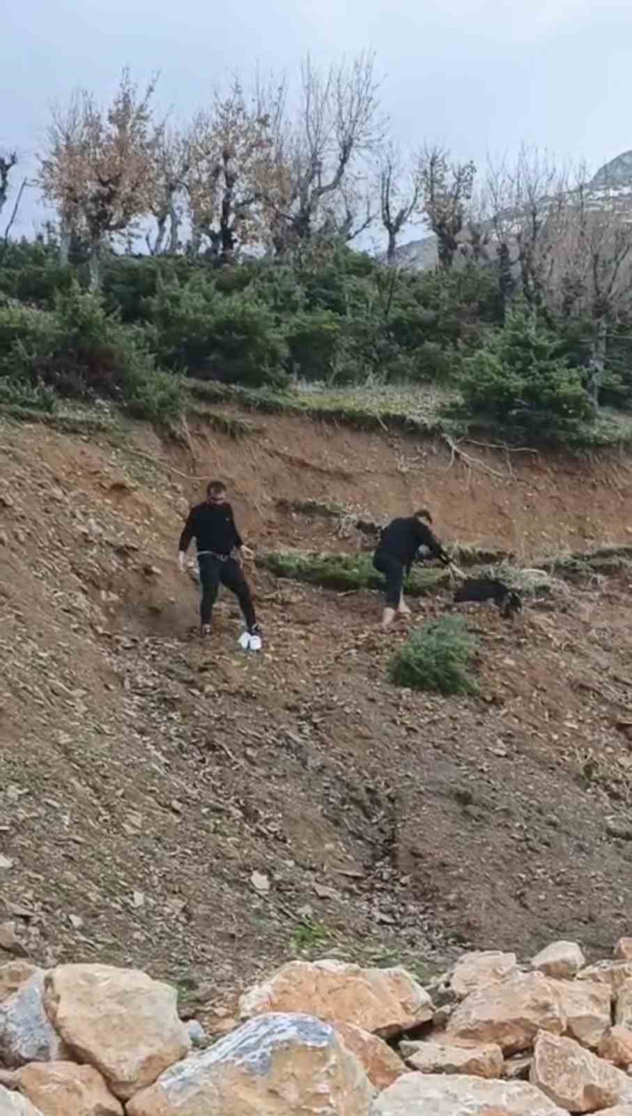 Çamura saplanan keçi son anda kurtarıldı
