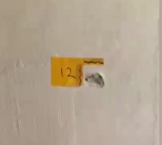 "Polisiz" diyerek eve giren şüpheliler anne ile oğlunu vurdu