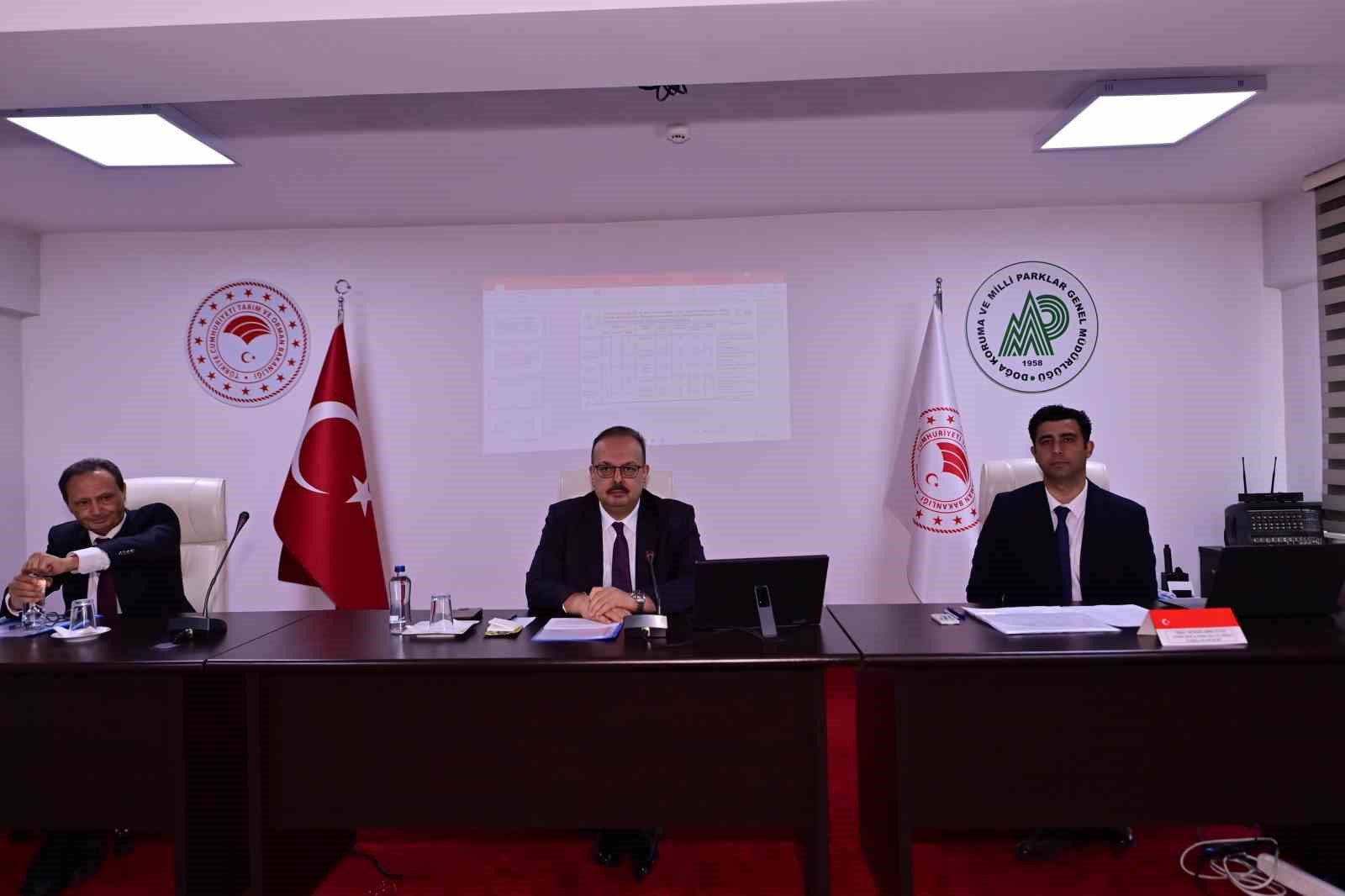 Aydın’da sahipsiz hayvanlara yönelik çalışmalar masaya yatırıldı