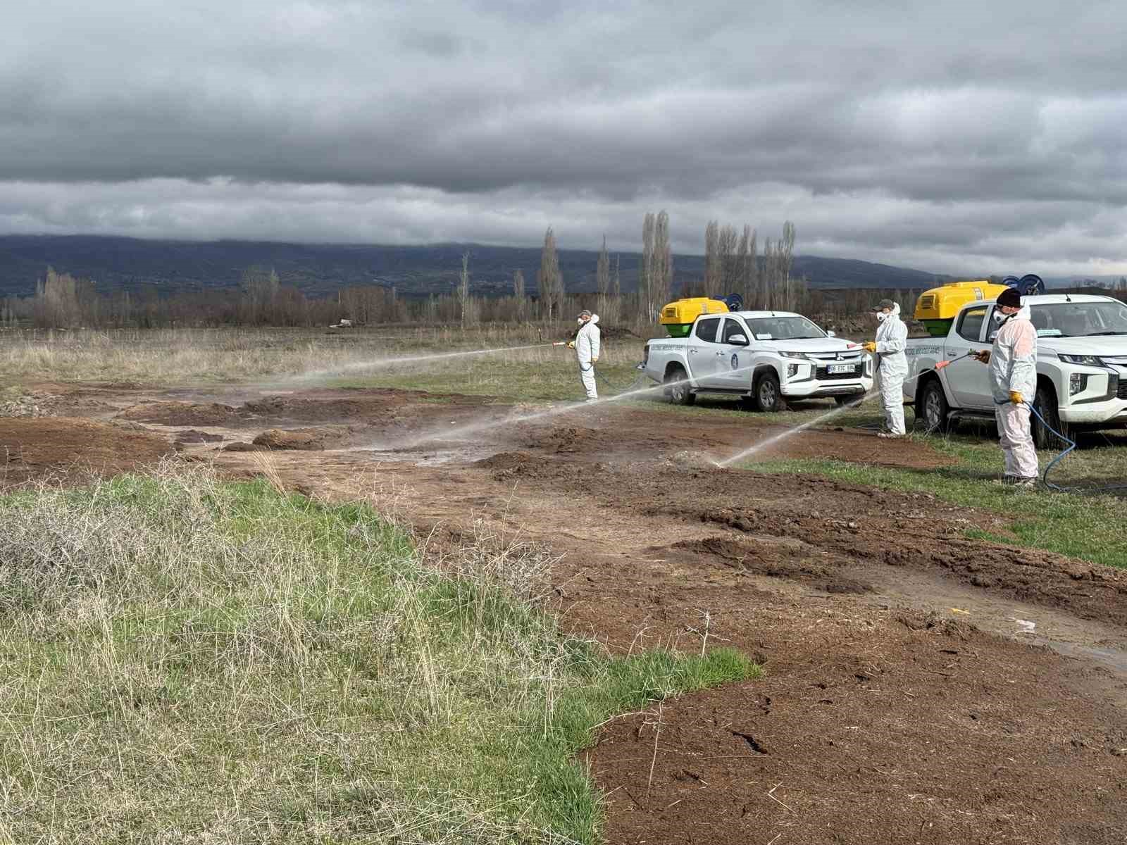 Çorum Belediyesi’nden yaz öncesi vektörle yoğun mücadele
