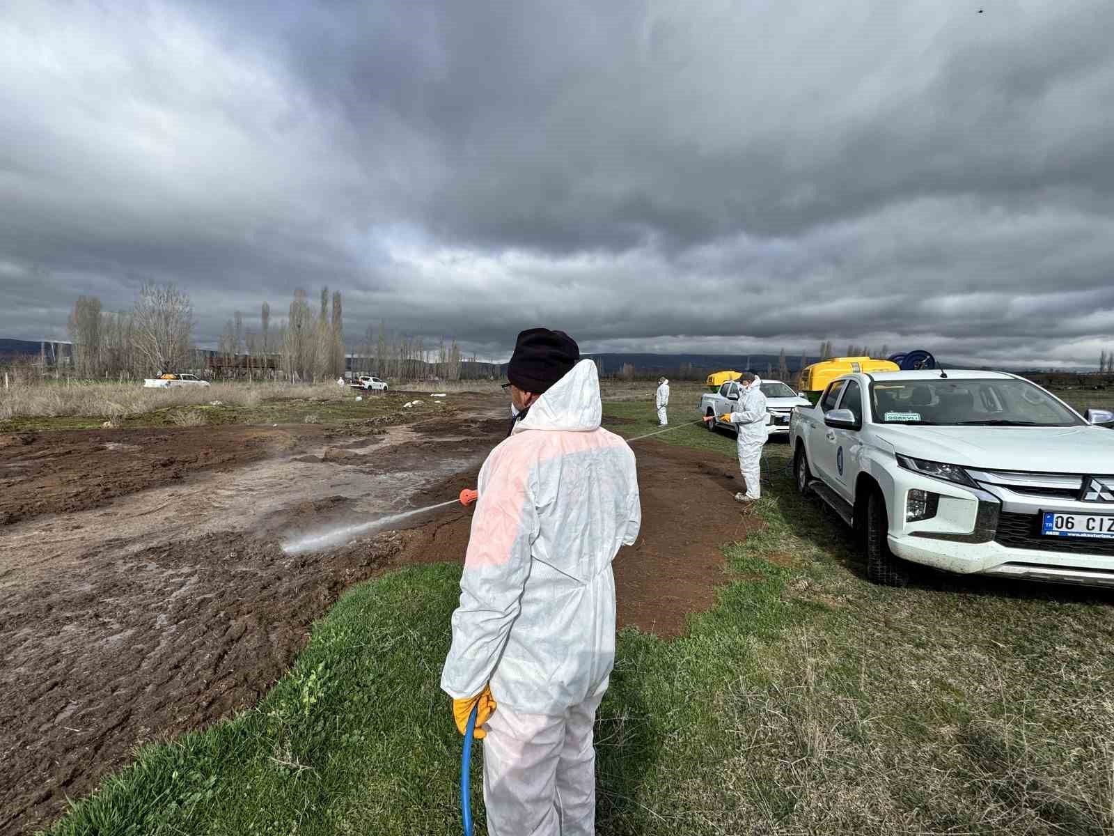 &Ccedil;orum Belediyesi&rsquo;nden yaz &ouml;ncesi vekt&ouml;rle yoğun m&uuml;cadele
