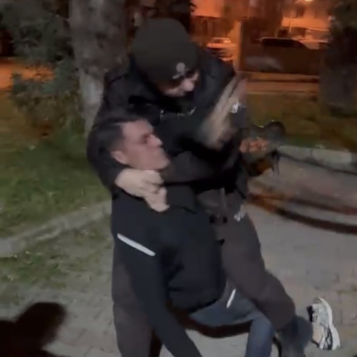 Parkta taşkınlık çıkardılar, görevli bekçilere direndiler