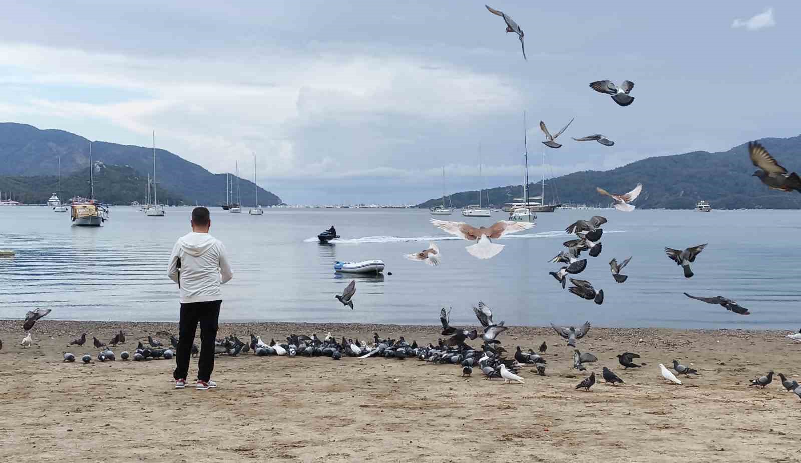 Marmaris’te güvercinler kışın boşalan sahili mesken tuttu
