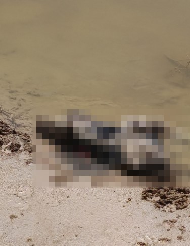 Kayıp olarak aranan 84 yaşındaki kadının cesedi bulundu