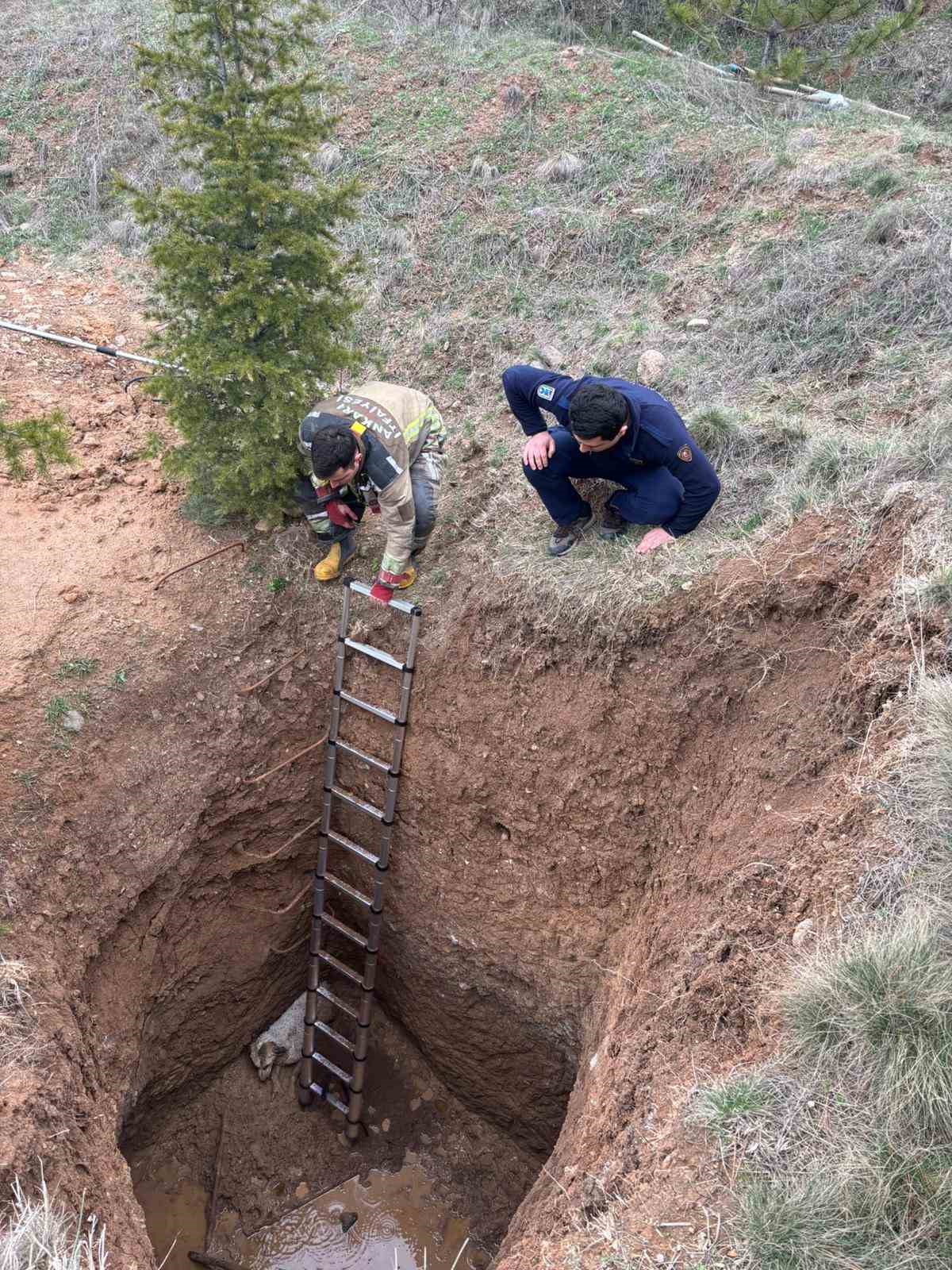 Ankara&rsquo;da ka&ccedil;ak kazının yapıldığı &ccedil;ukura d&uuml;şen k&ouml;pek kurtarıldı
