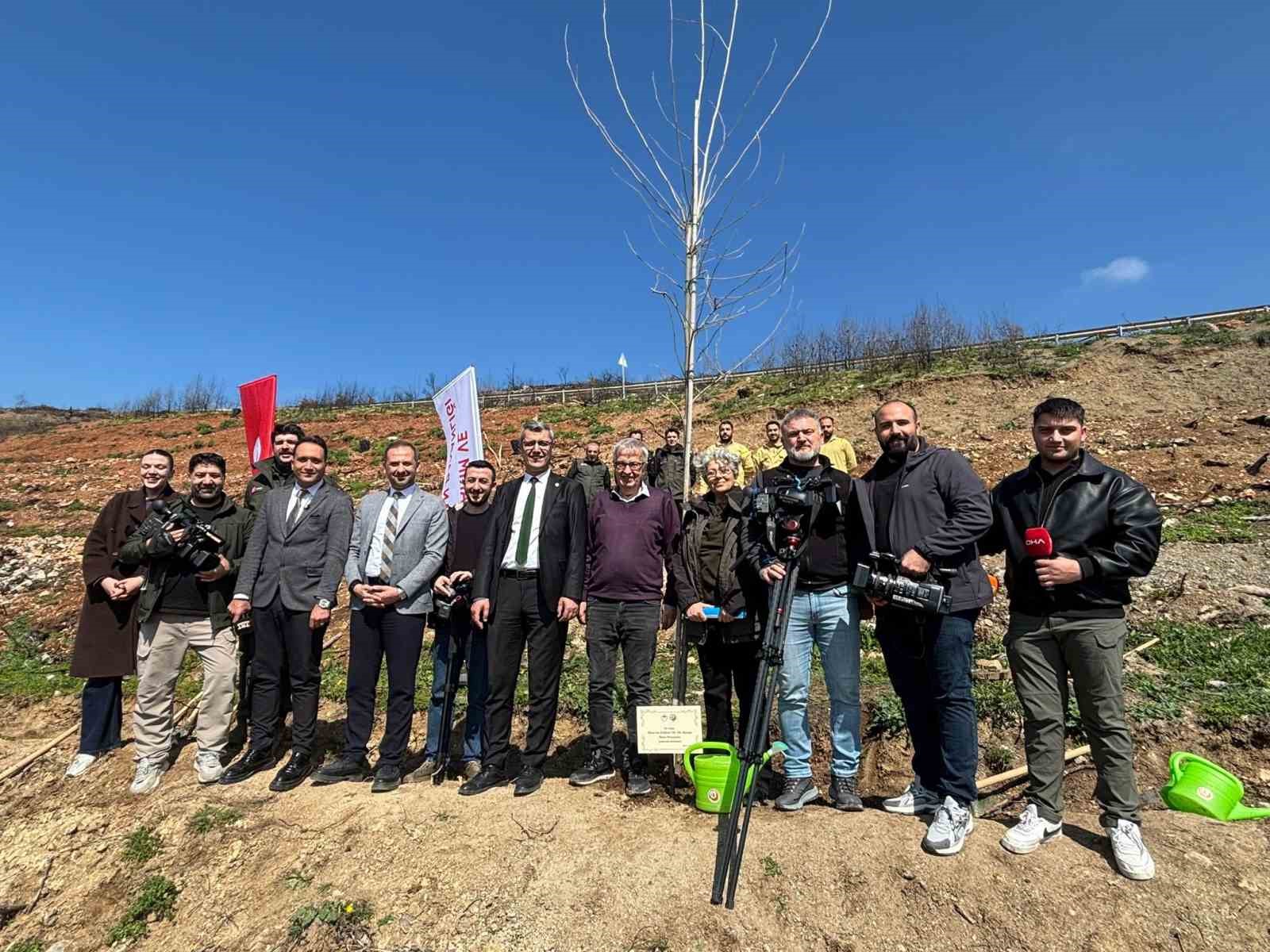 Bursa&rsquo;da yanan ormanlar 8 ayda ilmek ilmek işlendi, b&ouml;lge yeniden can buldu
