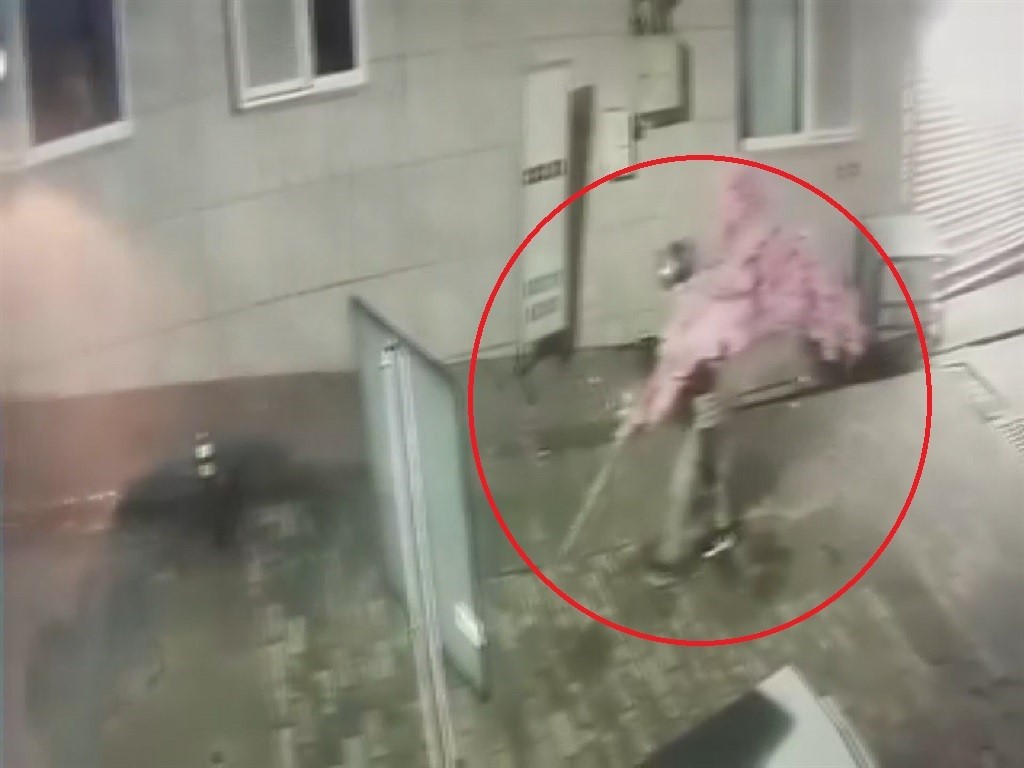 ‘Bir kafeden daha fazlası’ yazısını fark etti, ağacı sırtlayıp gitti O anlar kamerada