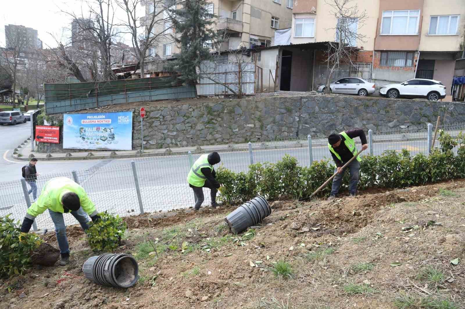 Kağıthane&rsquo;de yeşil alanlarda bakım ve d&uuml;zenleme &ccedil;alışmaları s&uuml;r&uuml;yor
