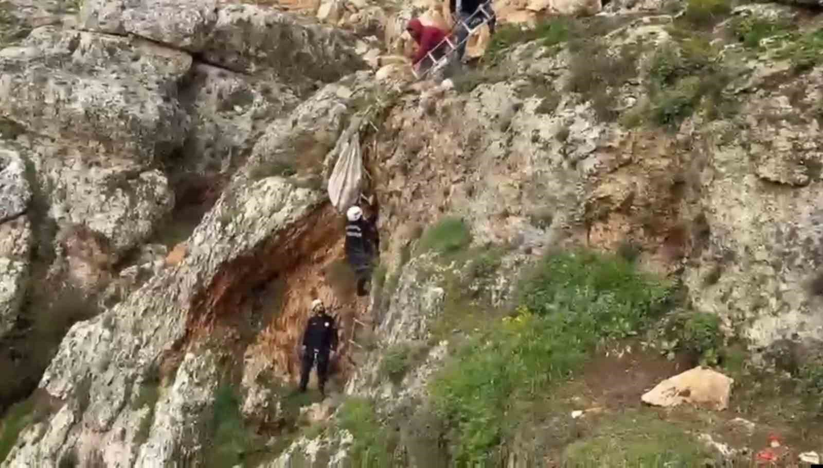 Uçurumdan düşen köpek 4 saatlik çalışmayla kurtarıldı