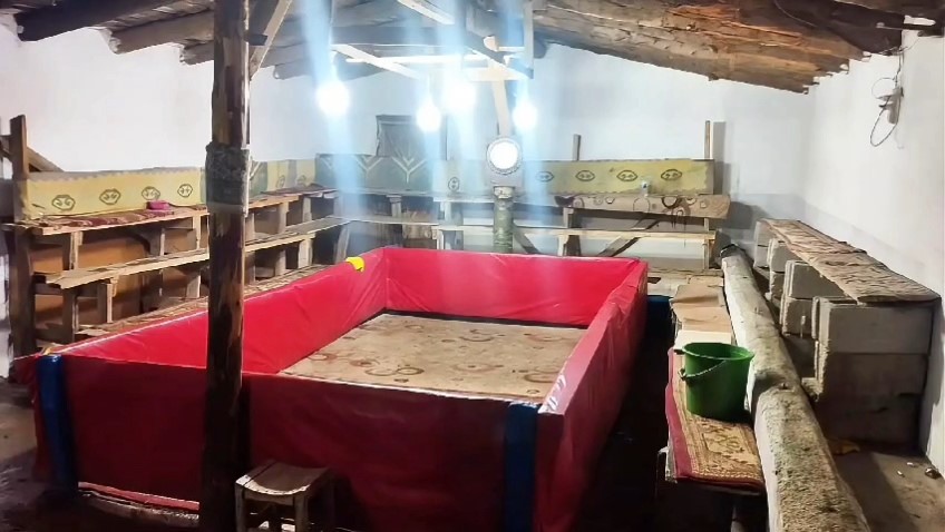 Muş’ta horoz dövüşü yapan 23 kişiye ceza