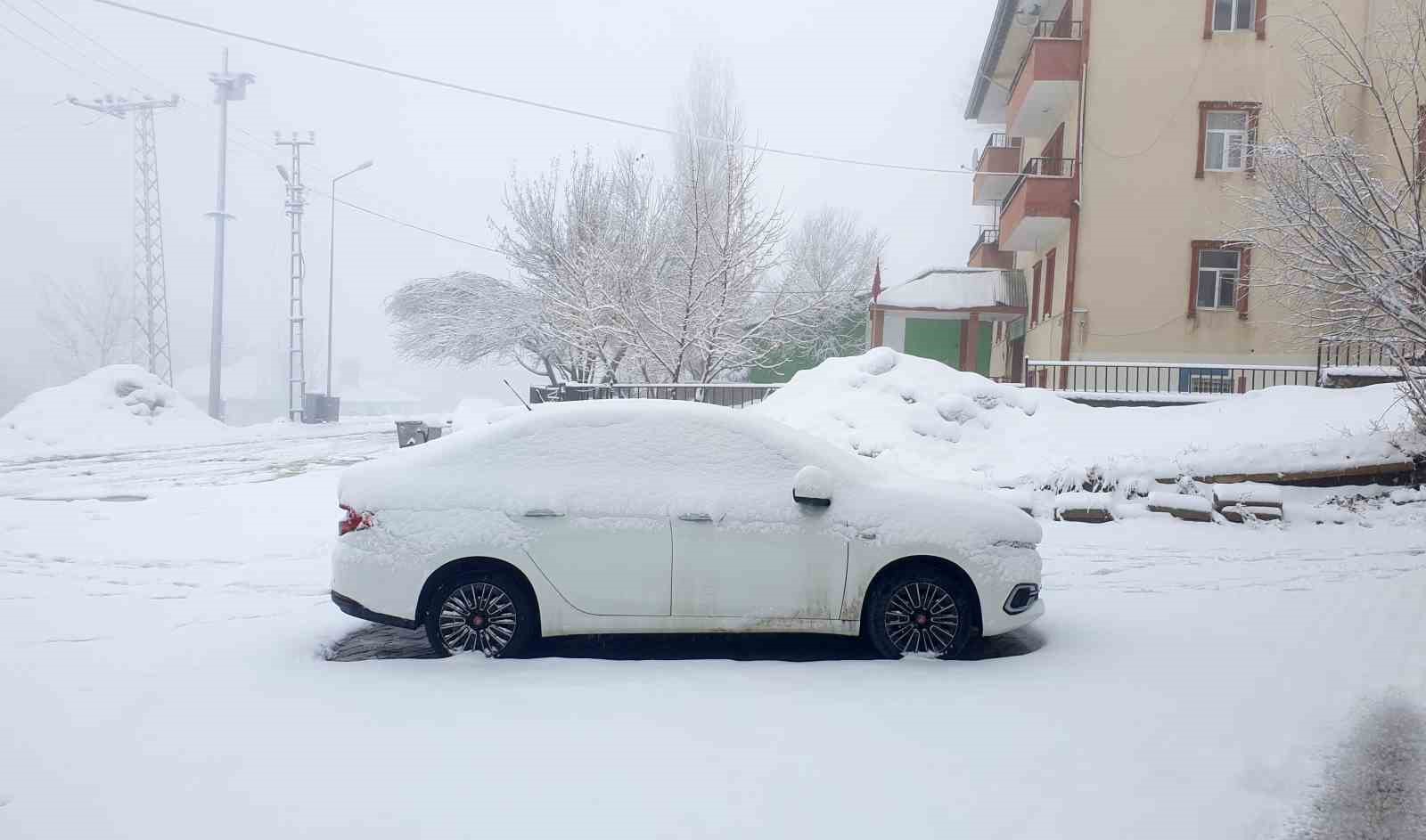 Başkale&rsquo;de kar yağışı
