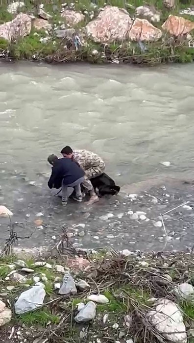 Siirt’te dereye düşen buzağı polis tarafından kurtarıldı