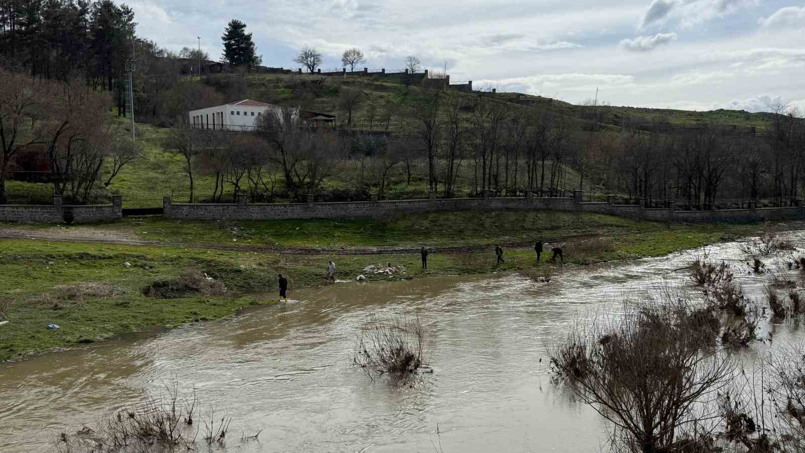 Diyarbakır&rsquo;da aşırı yağışlar sonrası suyun geri &ccedil;ekilmesiyle balıklar telef oldu
