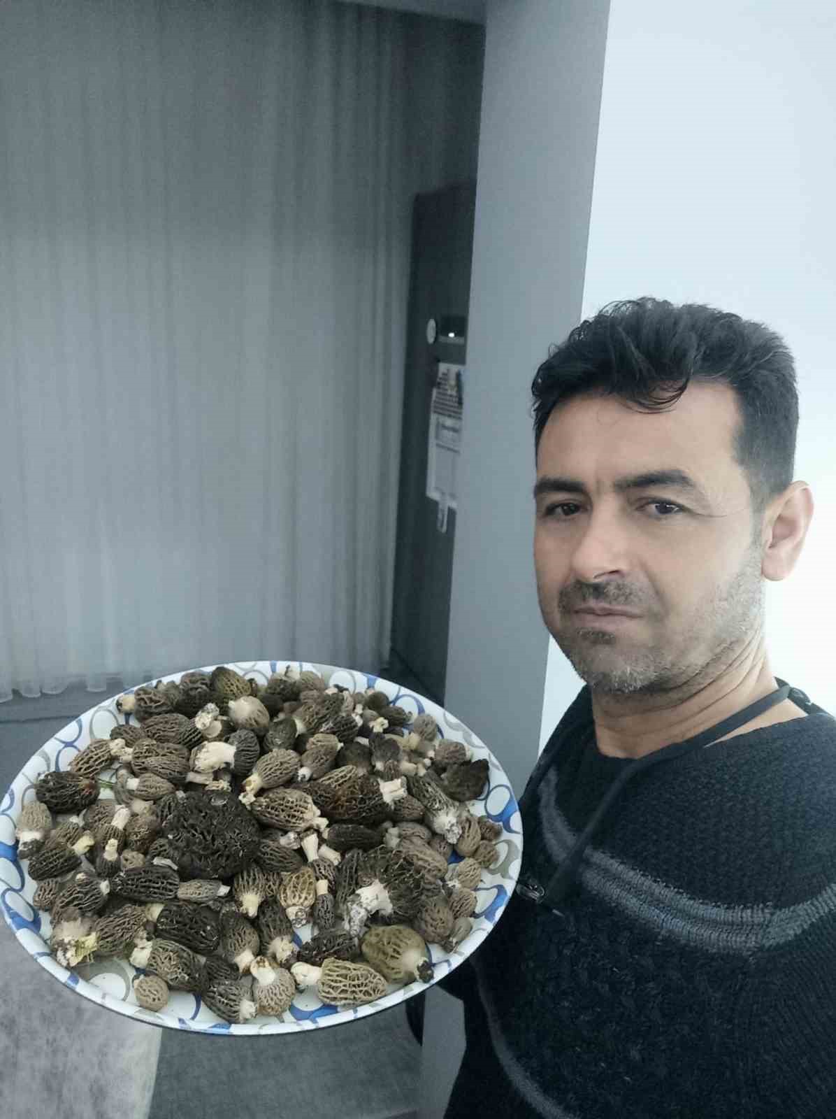 Buldan ormanlarında kuzug&ouml;beği bereketi
