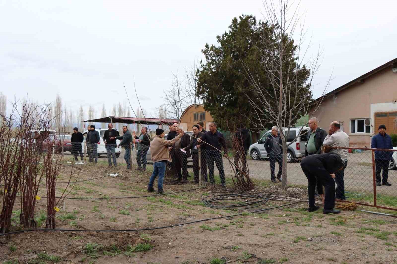 Meyve fidanı satışı 30 Mart&rsquo;ta yapılacak
