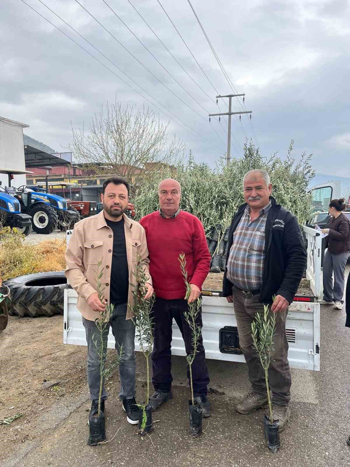 Bayındır’da üreticilere zeytin fidanı desteği