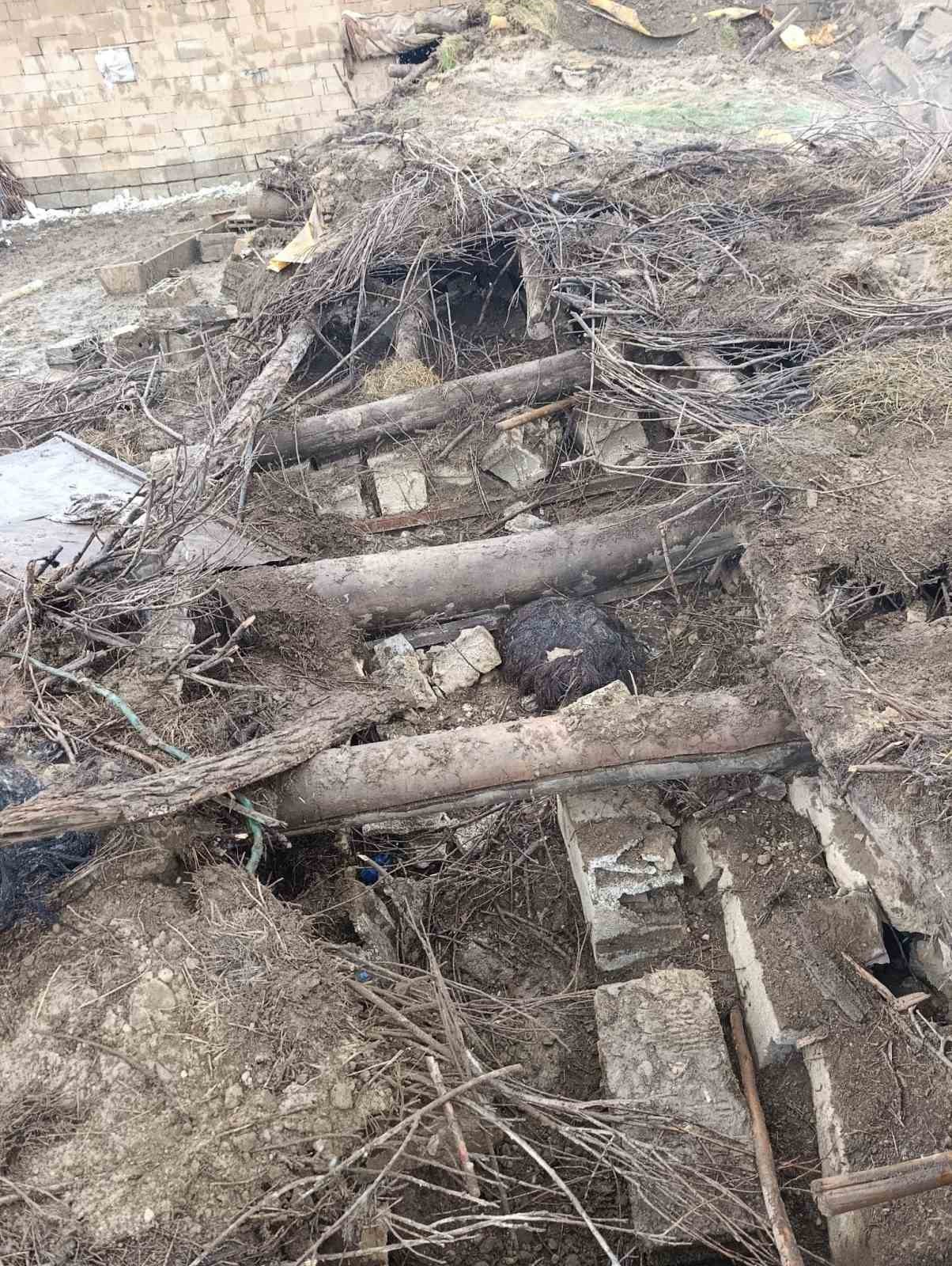 Başkale&rsquo;de ahır &ccedil;&ouml;kt&uuml;: 20 k&uuml;&ccedil;&uuml;kbaş hayvan g&ouml;&ccedil;&uuml;k altında kaldı
