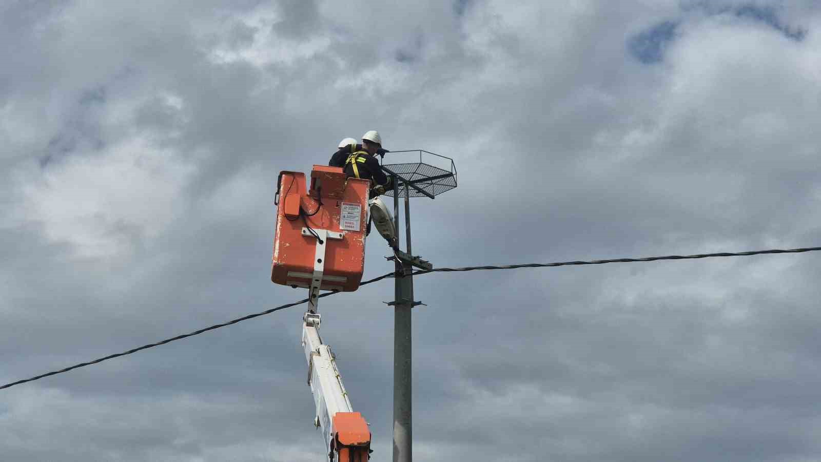 Ölüm hattıydı, yuvalara dönüştü: Bini aştı
