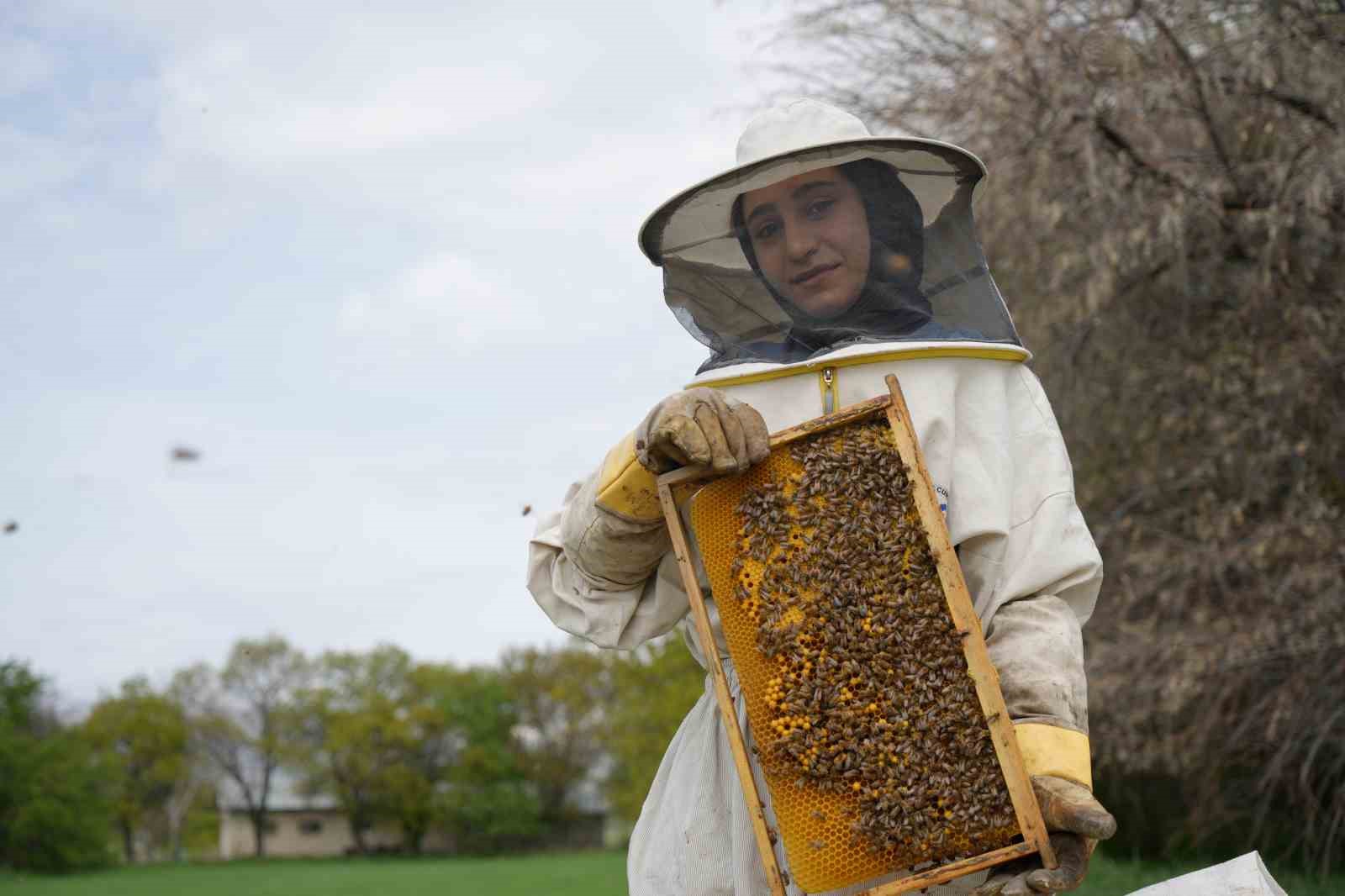 Kış uykusundan uyanan arılar Erzincan&rsquo;da yeni sezona hazırlanıyor

