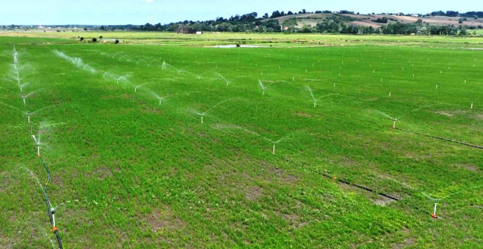 Samsun&rsquo;da bozulan tarım arazileri cezasız kalmadı: 48 işlem uygulandı
