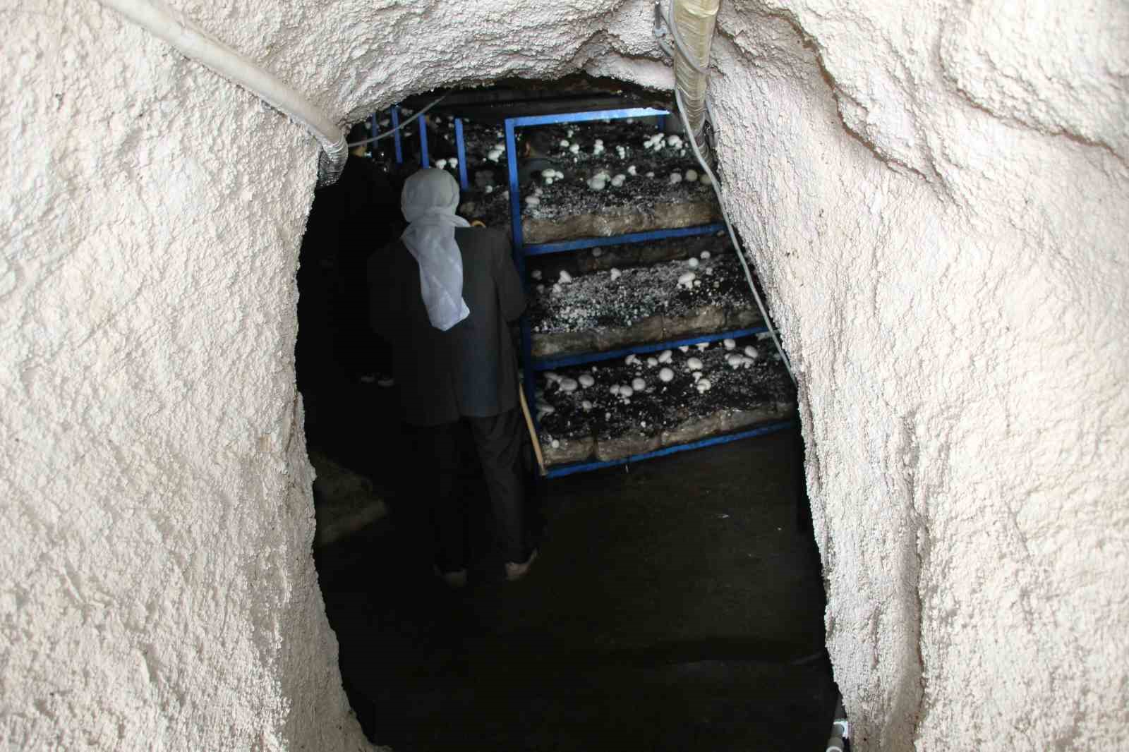 2 bin yıllık tarihi mağarada mantar üretim tesisi kurdu