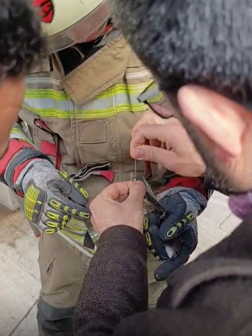 İskenderun&rsquo;da ipe dolanan kuş kurtarıldı
