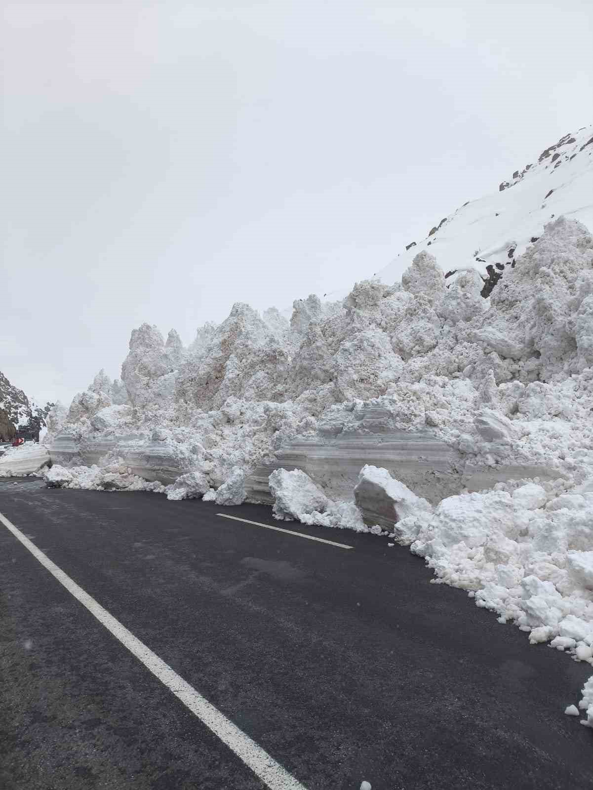 Van-Hakkari karayoluna &ccedil;ığ d&uuml;şt&uuml;
