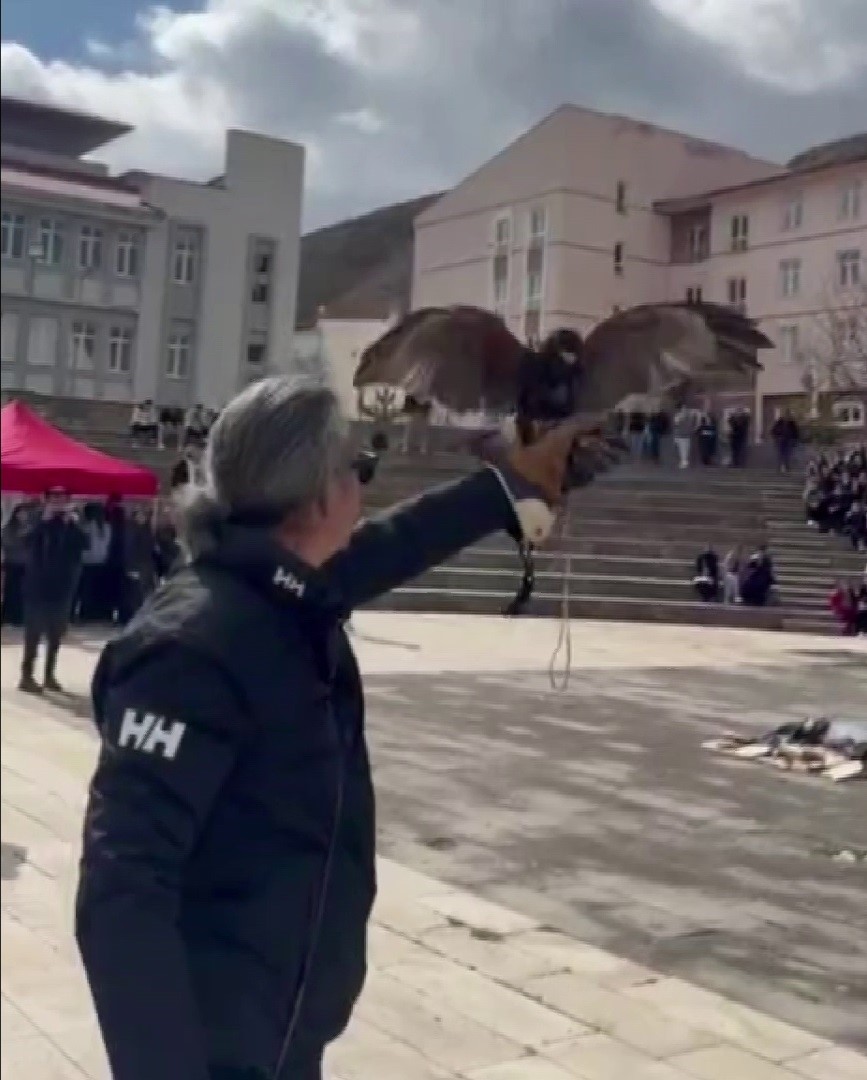 Bu Nevruz diğerlerinden farklı: Kurtlar alanda gezdi, şahin havada u&ccedil;tu
