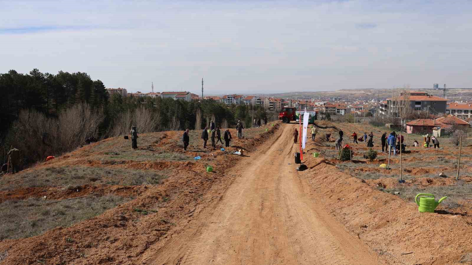 &Ccedil;anakkale şehitleri i&ccedil;in 438 fidan toprakla buluştu
