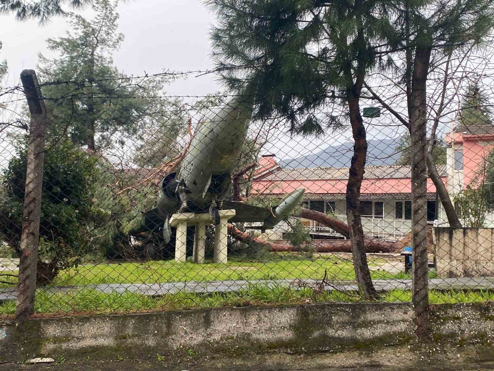 Üzerine ağaç düşen uçak zarar gördü
