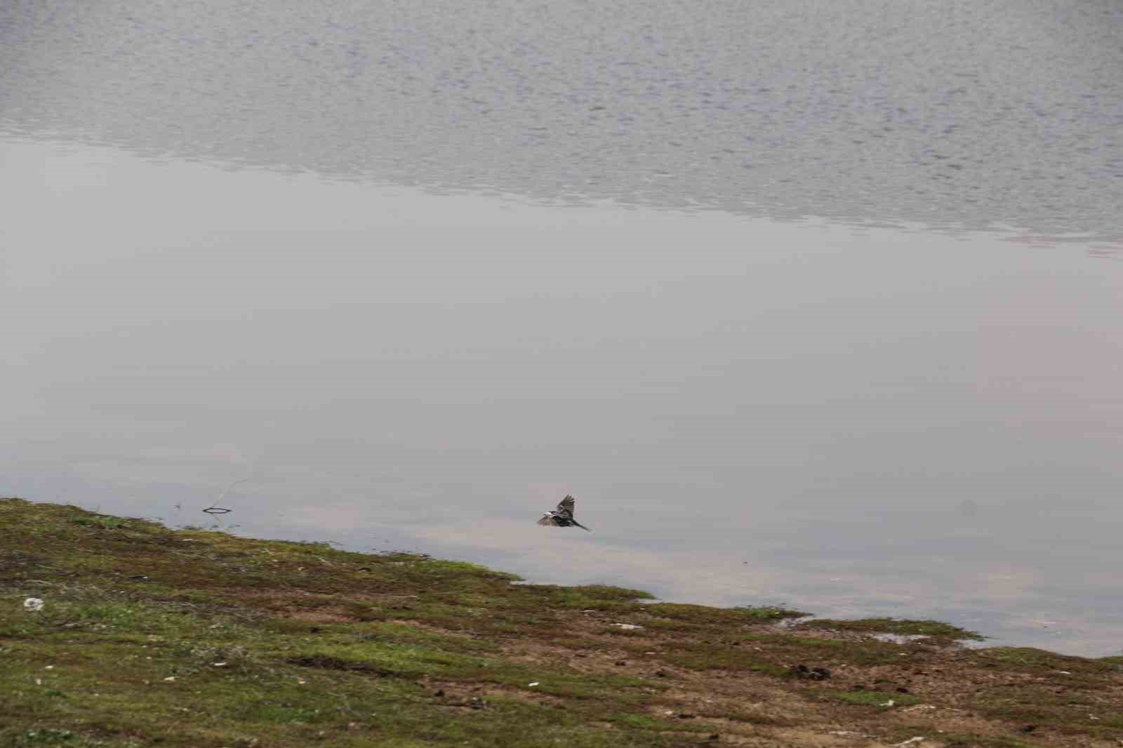 Ağustos ayında kurumaya başlayan Kızılca g&ouml;leti yeniden doldu
