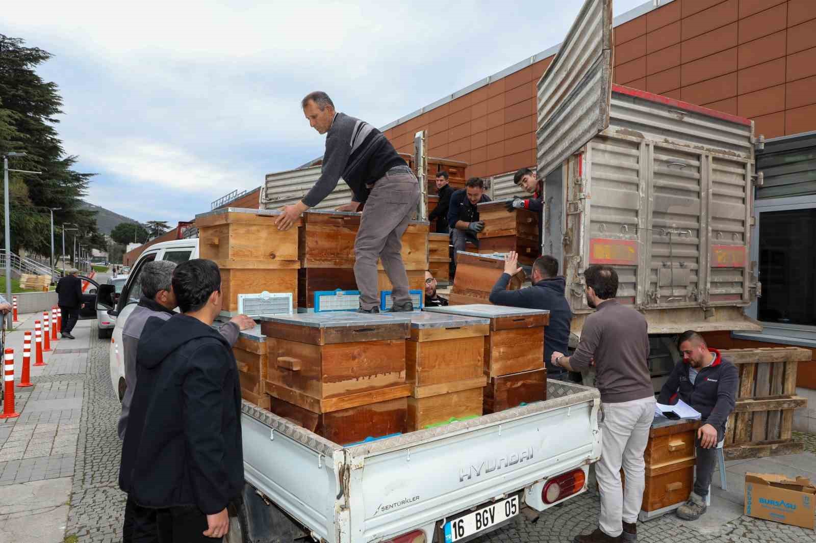 Arıcılık Bursa&rsquo;da b&uuml;y&uuml;kşehir ile canlandı
