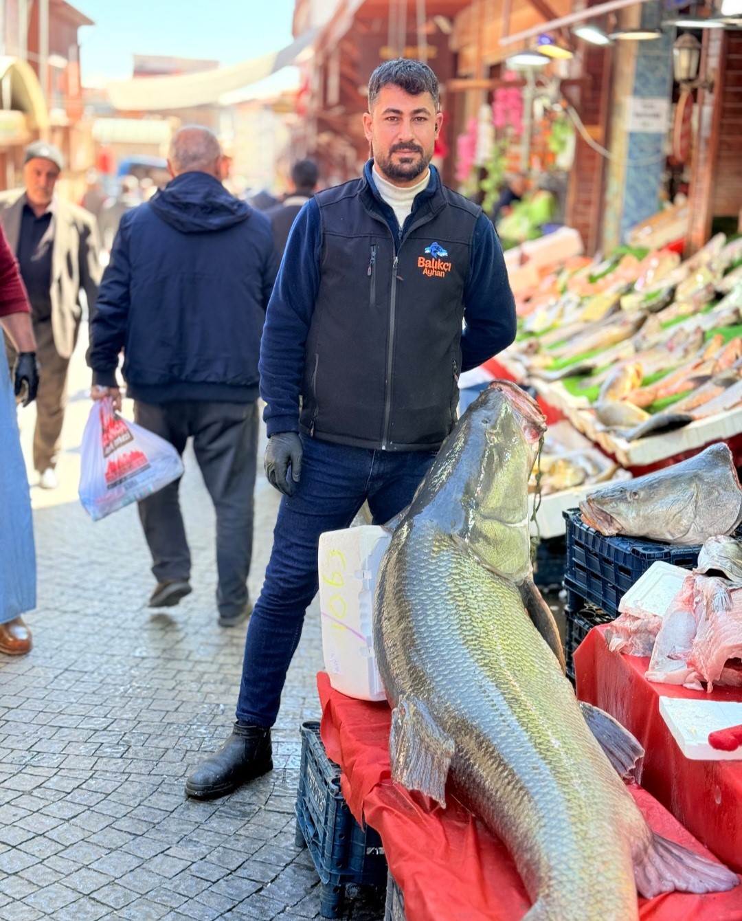 Elazığ’da kurban pazarlığını aratmayan görüntü: Vatandaşlar dev balık için yarıştı