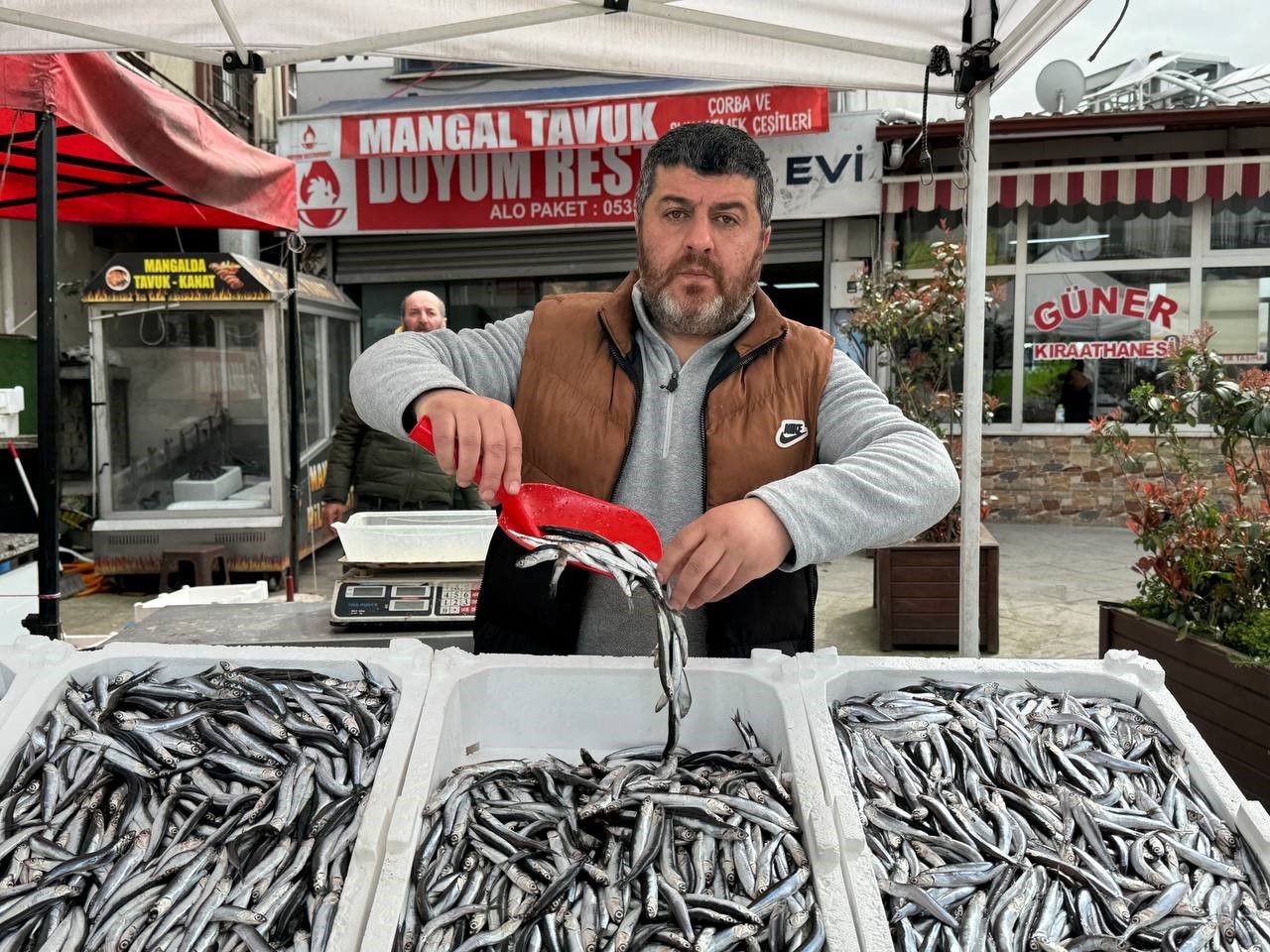 Tezgahlarda hamsinin son günleri: Kilosu 150 liradan satılıyor