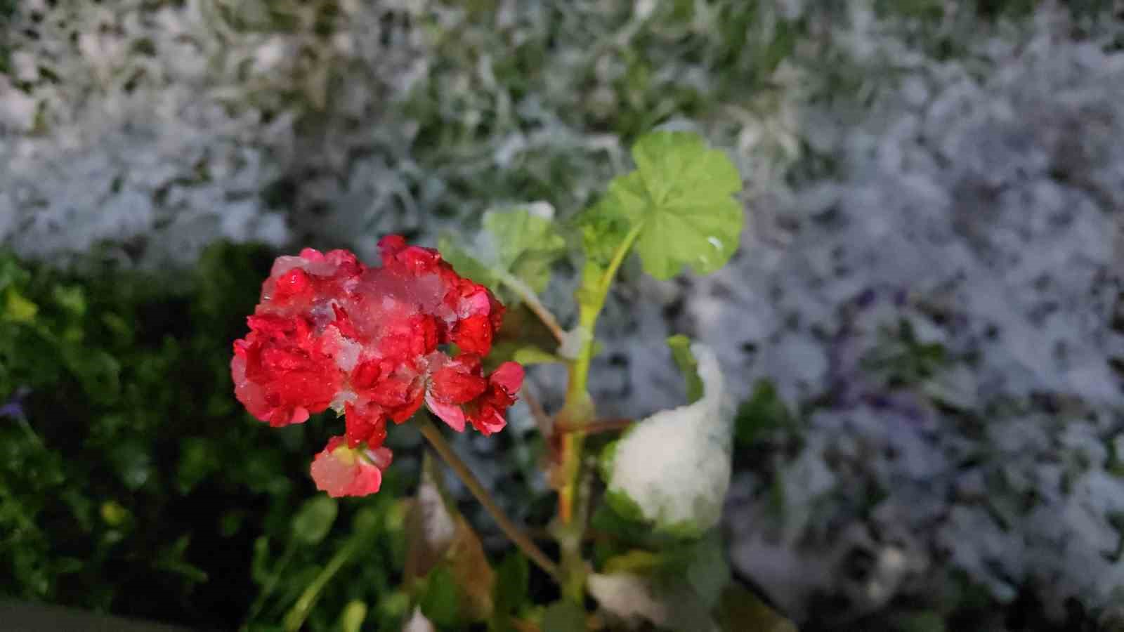 Denizli&rsquo;ye baharda yağan lapa lapa kar ara&ccedil;ları yolda bıraktı
