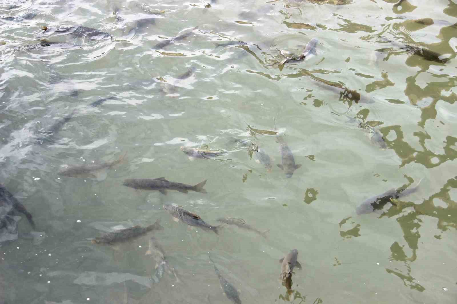 G&uuml;neş y&uuml;z&uuml;n&uuml; g&ouml;sterdi: Balıklıg&ouml;l&rsquo;e ziyaret&ccedil;i akını
