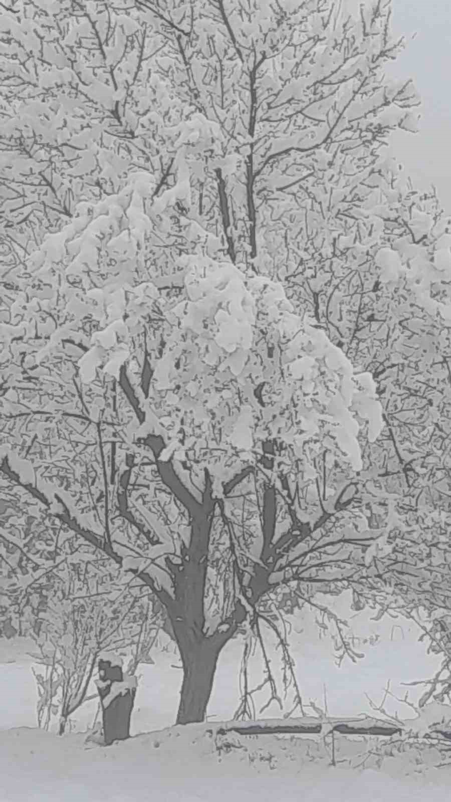 &Ccedil;ameli&rsquo;nde kar kalınlığı 20 santime yaklaştı
