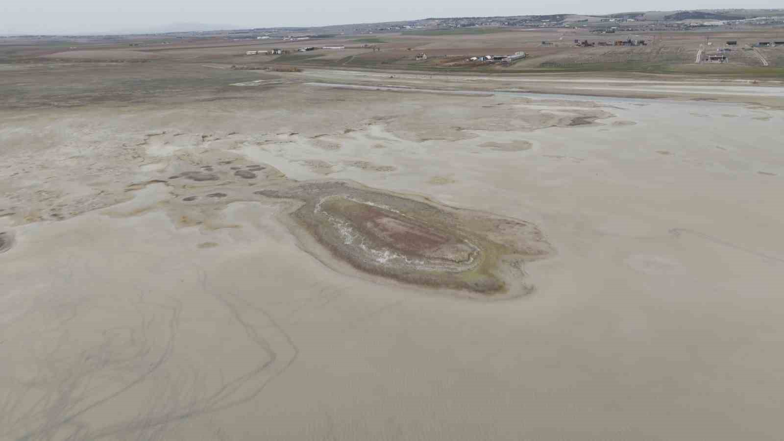 Allı turnaların yuvası yok oluyor