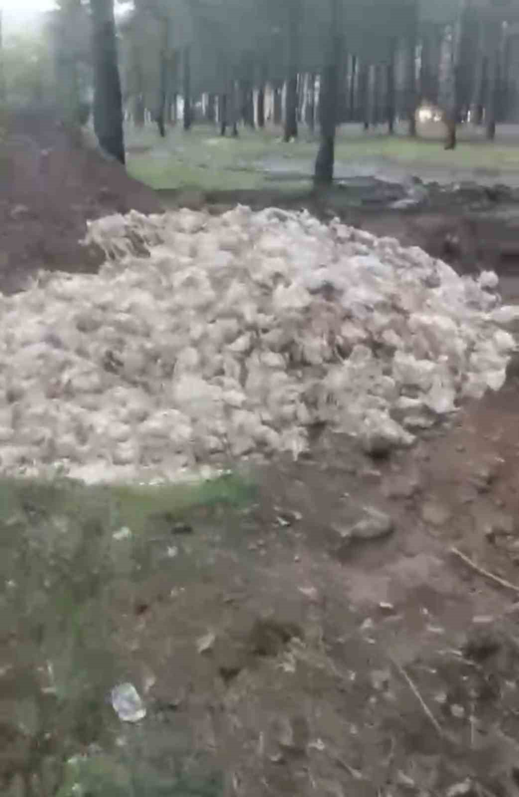 Tarsus&rsquo;ta &ouml;l&uuml; tavuklar ormana atıldı
