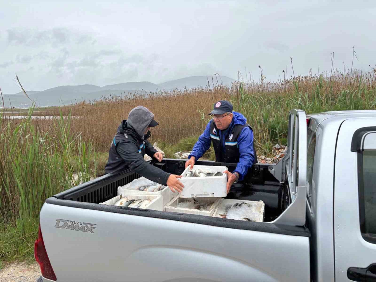 Milas&rsquo;ta ka&ccedil;ak avcılığa ge&ccedil;it yok: 80 kilo kefal balığına el konuldu
