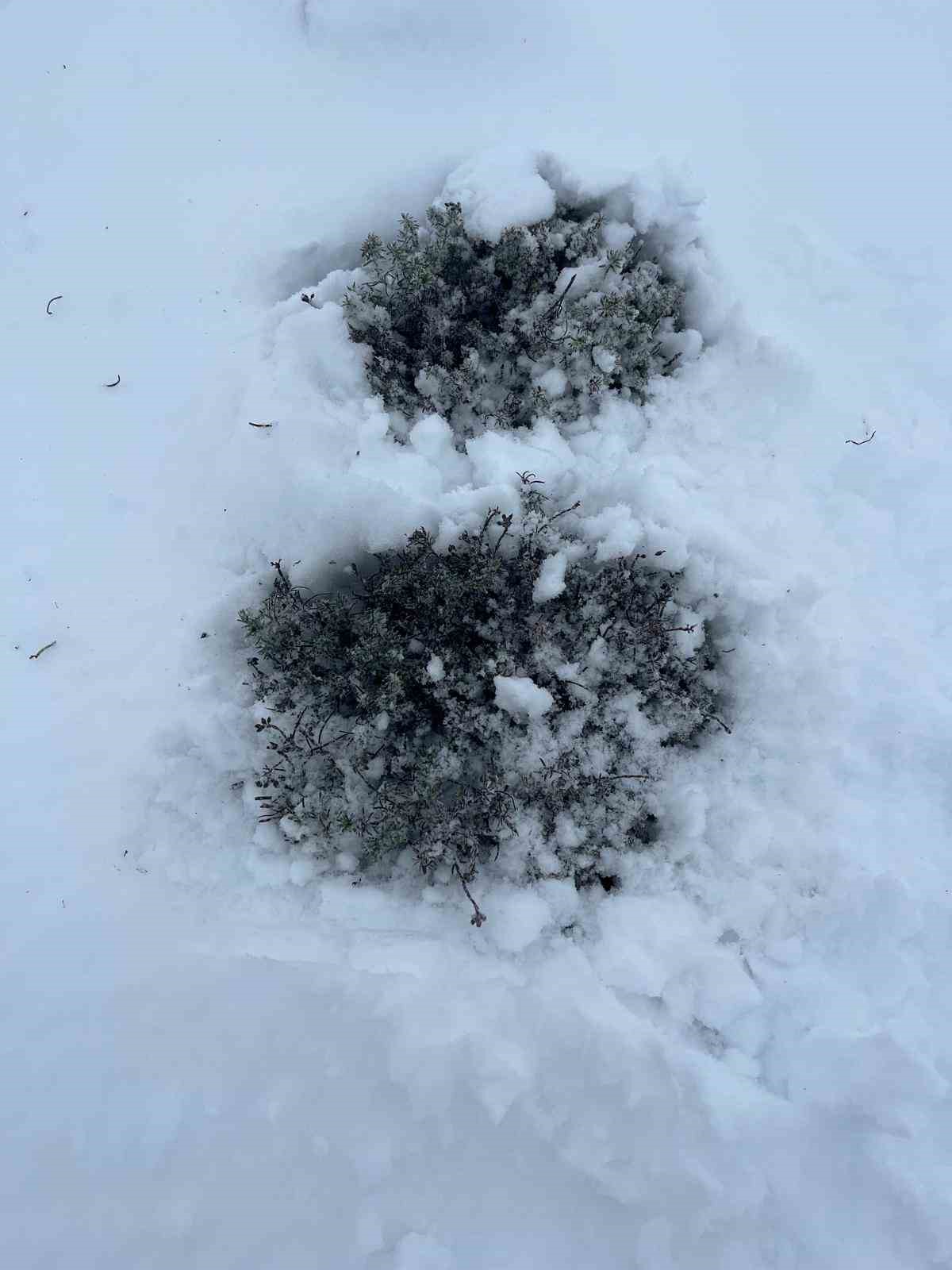 Mart sonunda Karıncalı Dağ&rsquo;da kar s&uuml;rprizi
