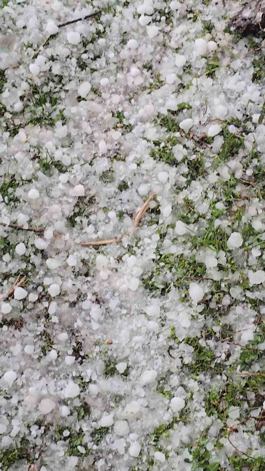 Niğde’de dolu yağışı etkili oldu