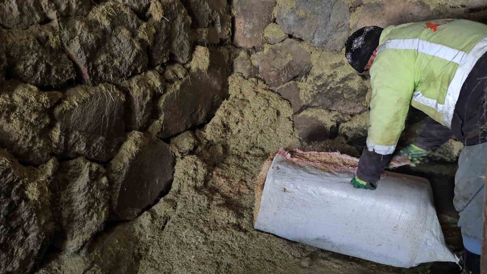 Süphan Dağı’nın eteğinde zorlu hayvancılık