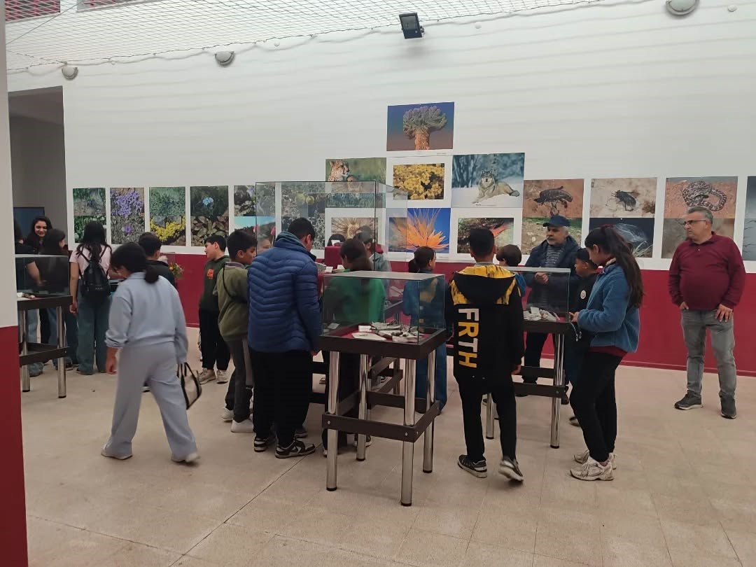 Yenipazarlı &ouml;ğrenciler doğayı bilimle keşfetti
