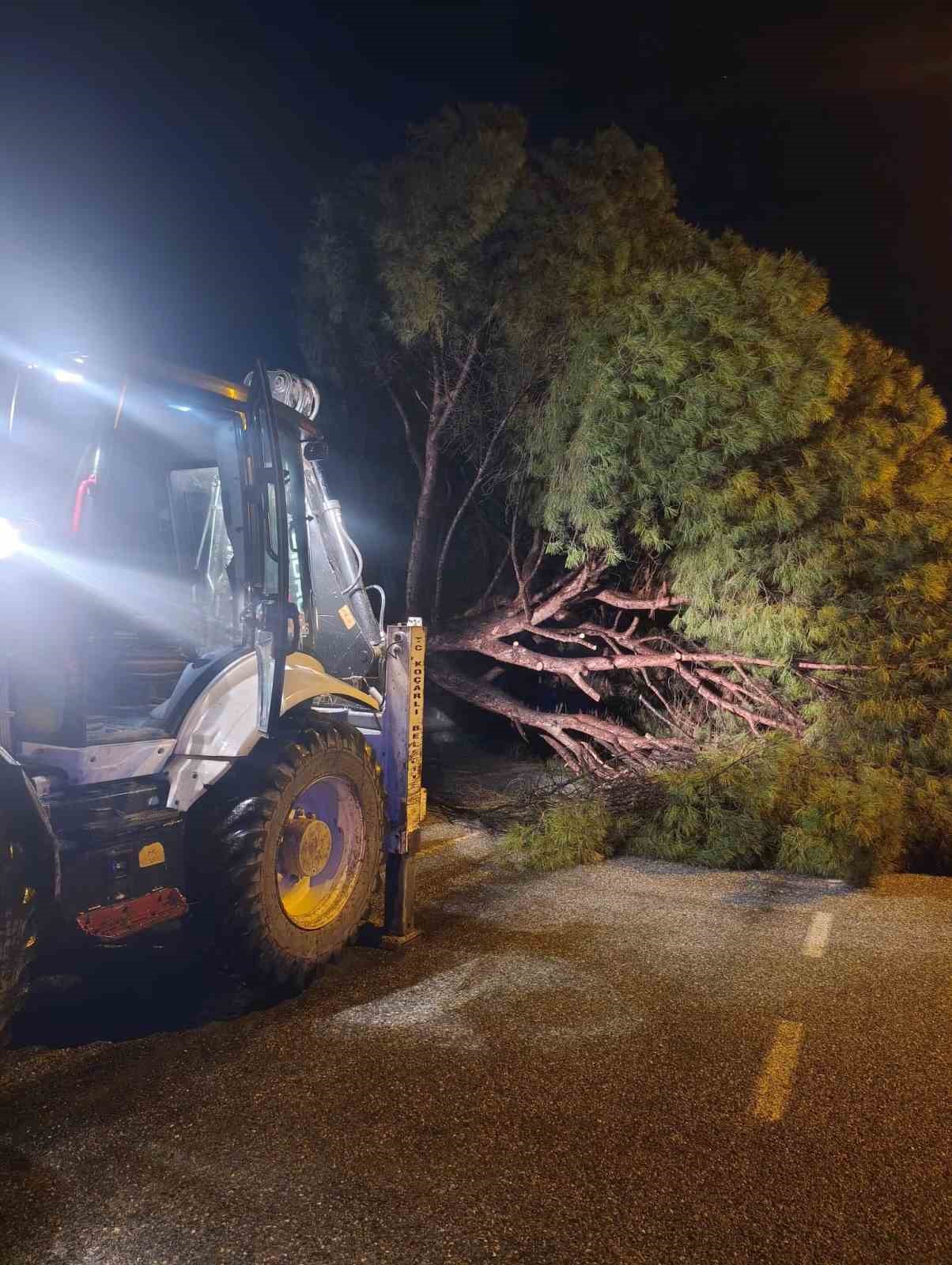 Yağış &ccedil;am ağacını devirdi, ekipler &ccedil;alışma başlattı
