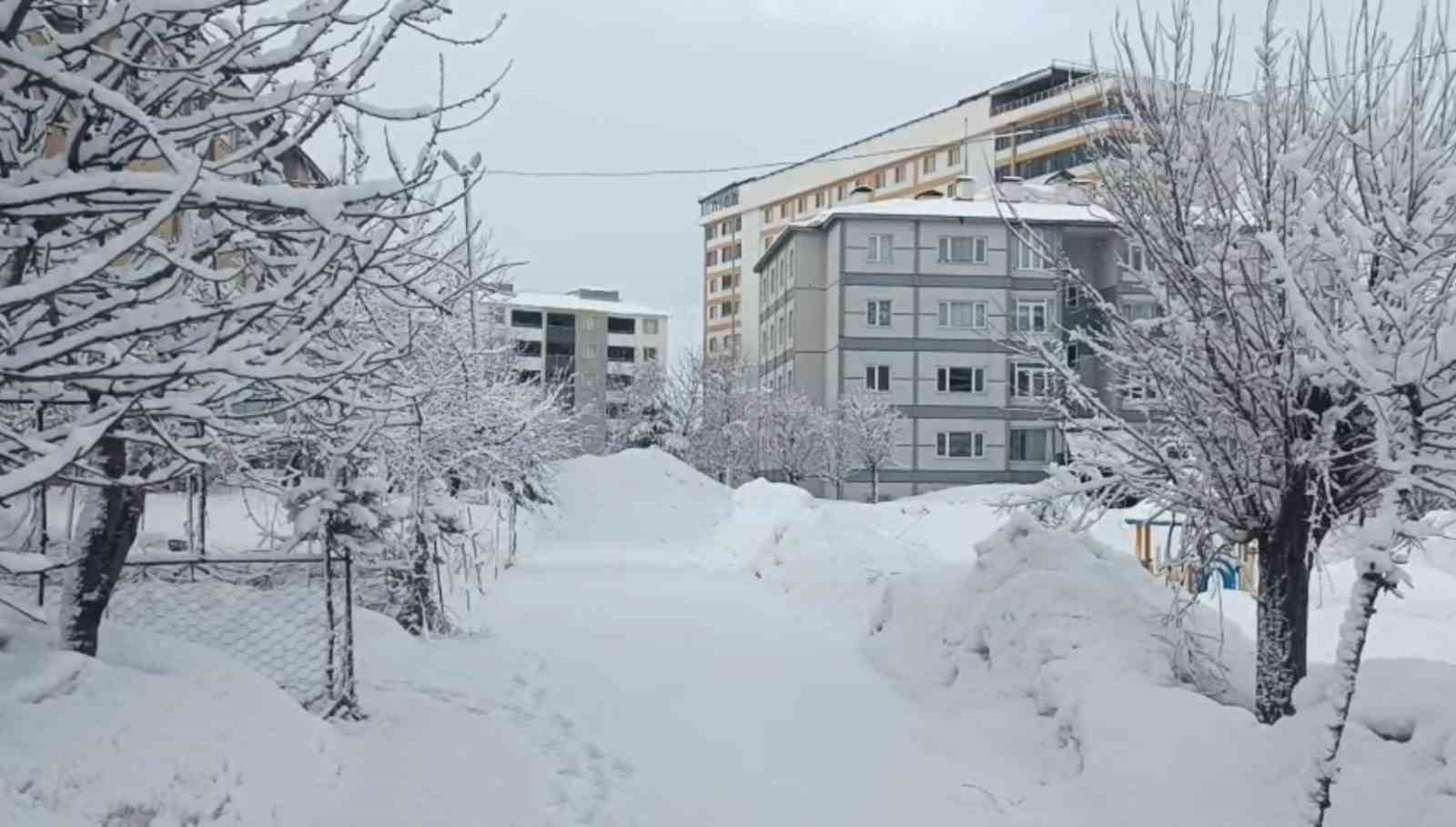 Bitlis&rsquo;te kar yağışı
