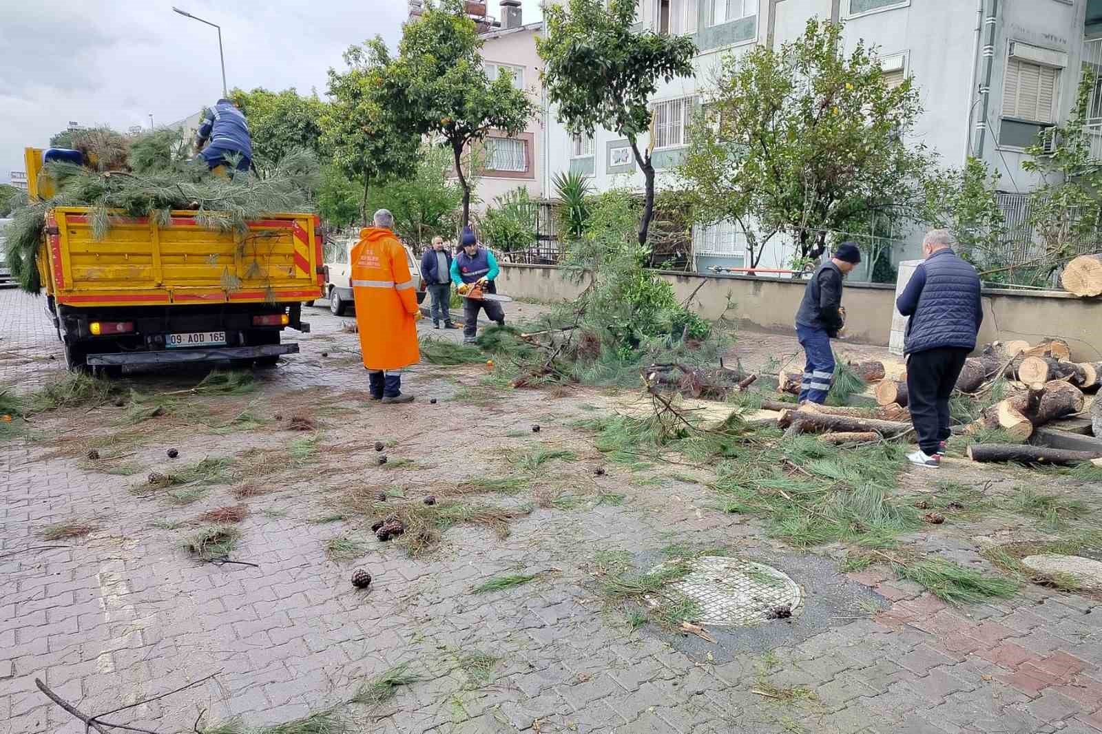 &Uuml;zerine ağa&ccedil; devrilen park halindeki ara&ccedil; zarar g&ouml;rd&uuml;

